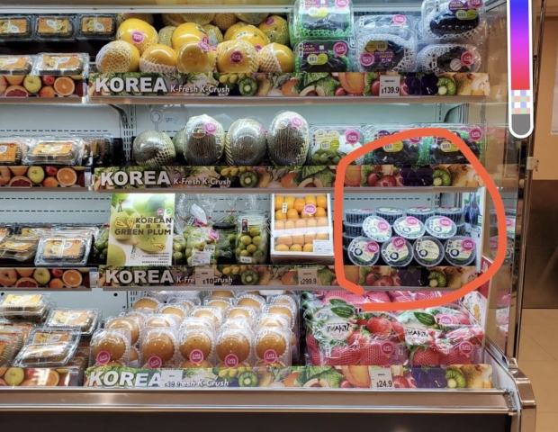 홍콩 내 백화점에서 판매되고 있는 공주산 블루베리