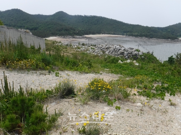 산림청은 독특한 산림생태계를 가진 도서·해안지역 산림경관 복원을 확대하고자 11월 30일까지 기초 실태조사를 한다. 사진은 인위적으로 산림이 훼손된 도서지역(사진제공-산림청)