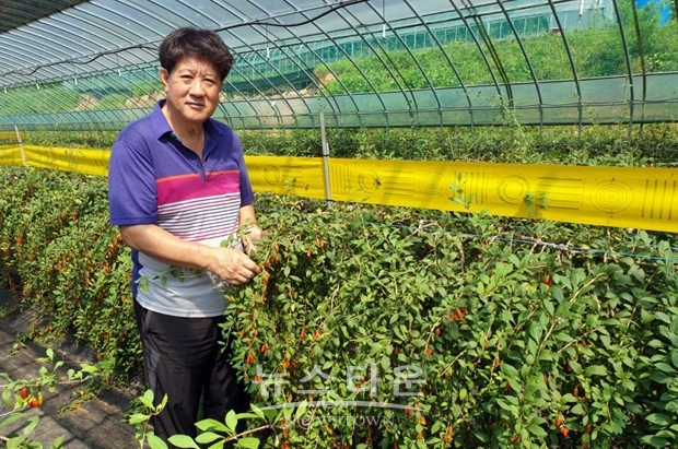 청양구기자왕 오용재씨