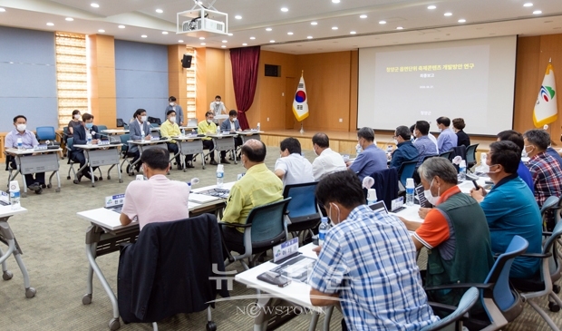 축제 콘텐츠 개발 및 활성화 방안 연구용역 최종 보고회