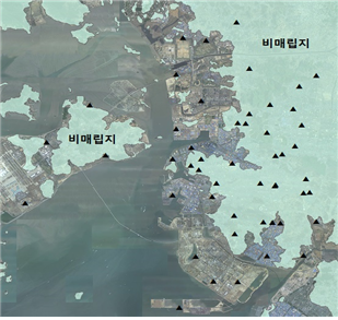 관측점 분포
