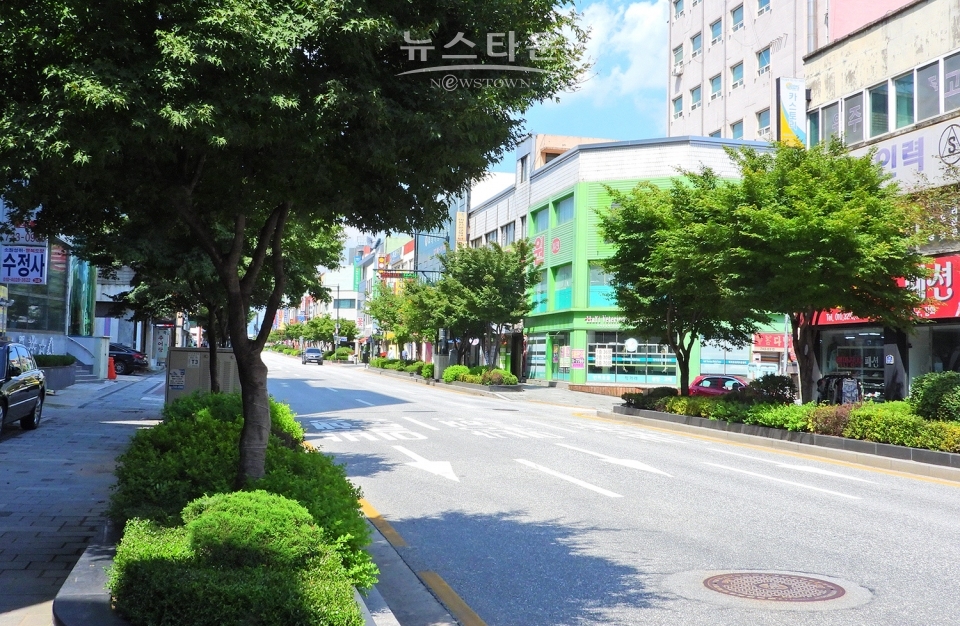시가지 가로수