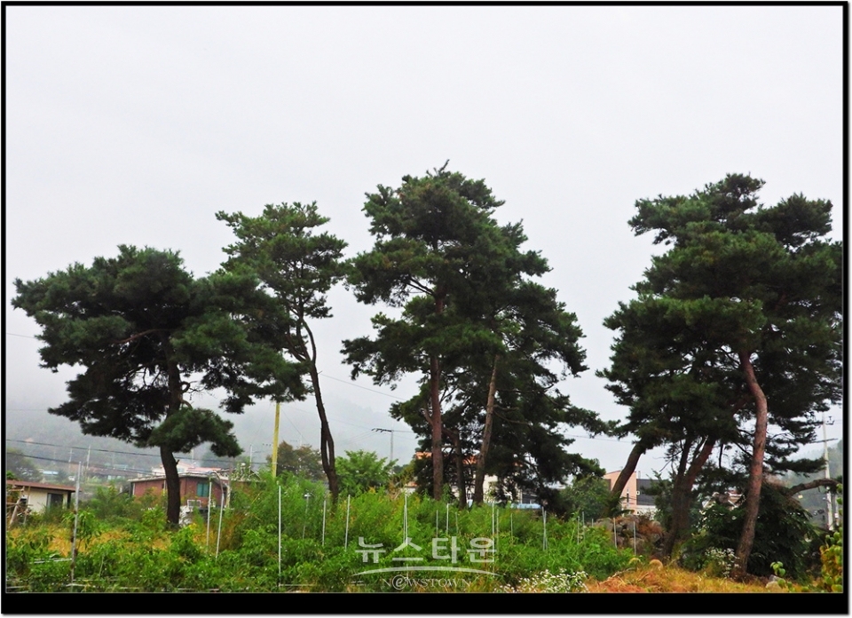 문막읍 건등3리마을