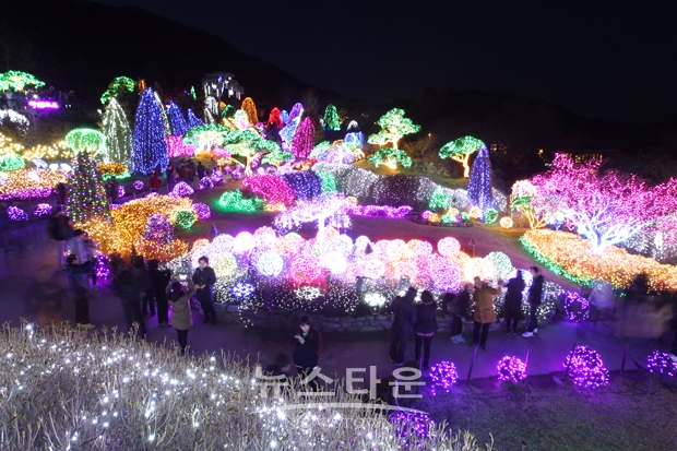 아침고요수목원(오색별빛정원)
