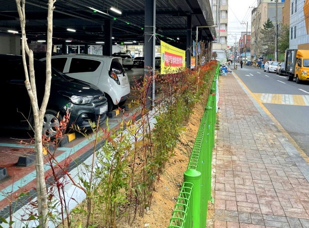 성동시장 공영주차장 앞 식재된 관목 모습