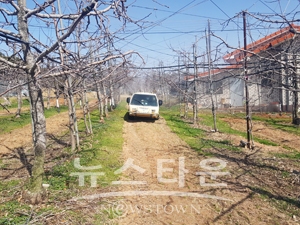 과수화상병 대비 약제방제