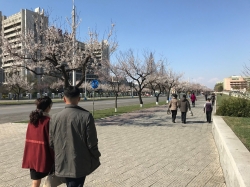 평양 모습.