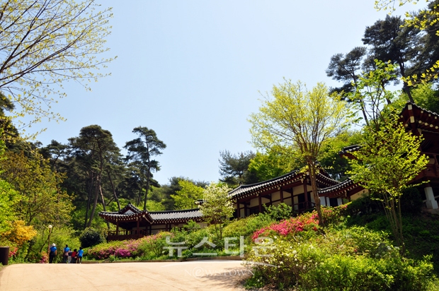 안면도자연양림(한옥동)