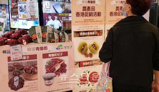2020년 홍콩 기획전