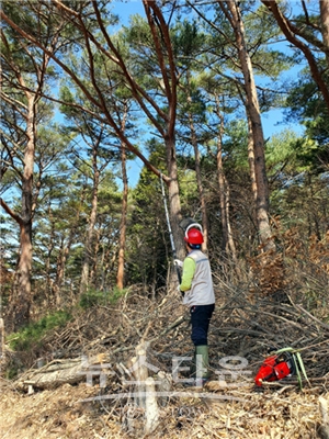 산림 일자리