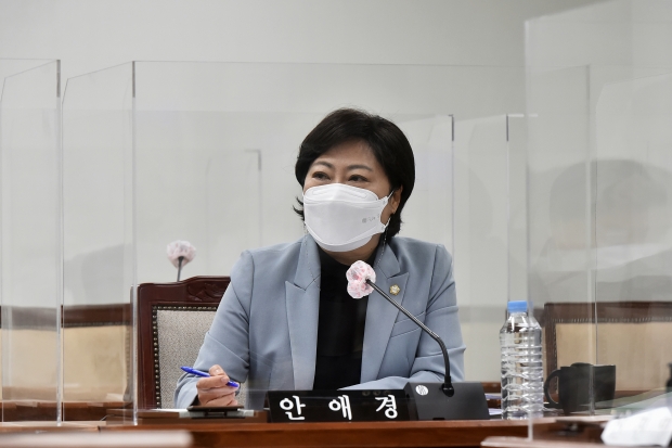 행정복지위원회에서 안애경 의원이 발언을 하고 있다.