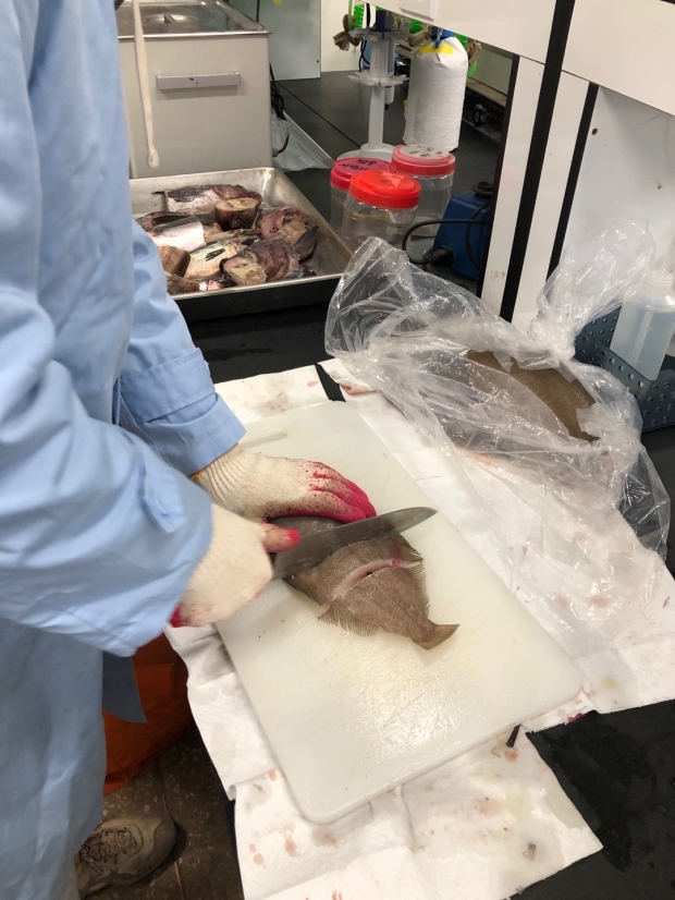 경주시에서 2021년도 1분기 수산물 및 정수장 식수 등에 대한 방사능 분석을 시행하고 있다.