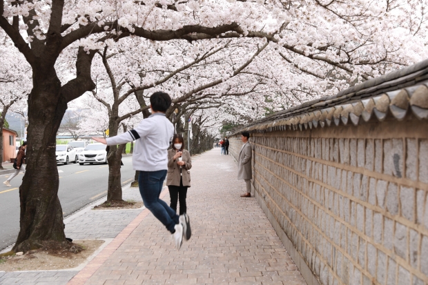 대릉원 돌담길