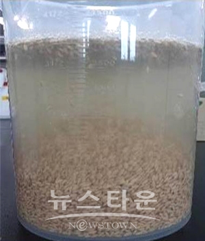 소금물 가리기