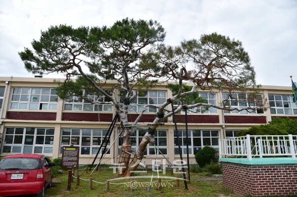 故 이병철 회장이 유년 시절 다녔던 지수초등학교