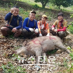 유해야생동물 멧돼지 포획