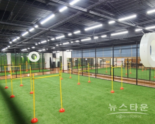 실내 드론축구장 전경