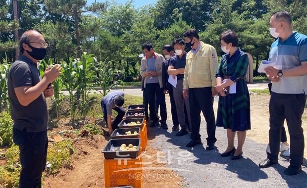 감자 실증시험재배 평가회
