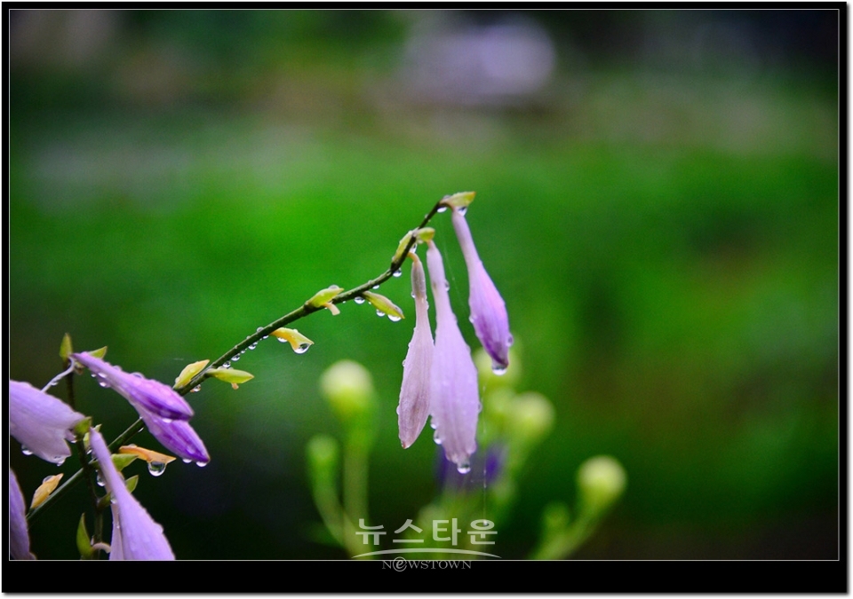 원주시 문막읍 어느 농촌지역마을
