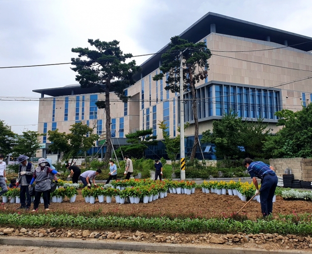 직원들과 주민들이 함께 청사 앞 공유지에 꽃을 식재하는 모습