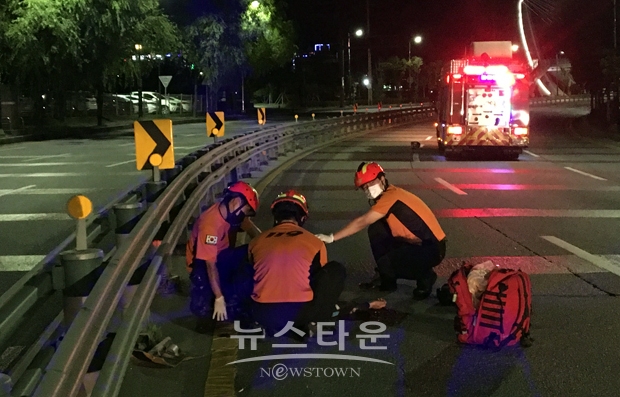 스텔스 보행자 구조
