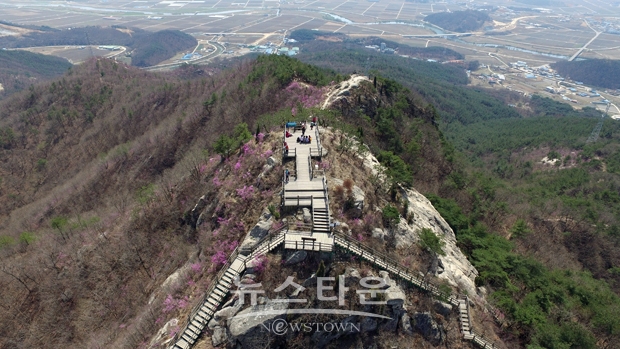 영인산수목원