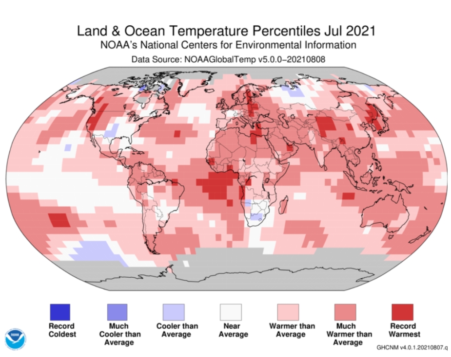 2021년 전세계 지표면 온도, NOAA 자료