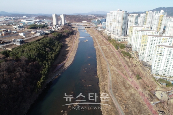 영천강
