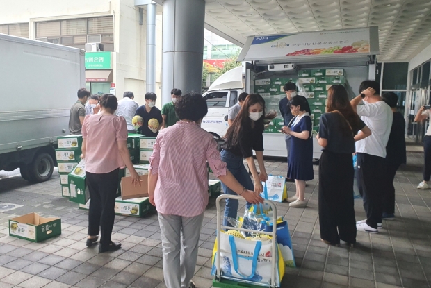 경주시가 지난 26일 경주시 농협원예조합공동사업법인과 함께 경주시 직원들을 대상으로 지역 농산물인 ‘이사금 멜론’ 구매 행사를 진행하고 있다