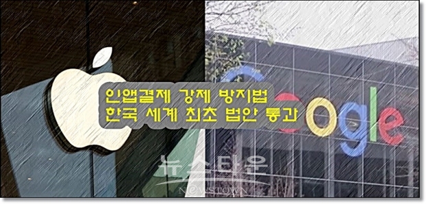과학기술정보통신부의 조사에 따르면, 구글의 인앱결제 강제가 실시될 경우 한국 기업들이 부담할 수수료는 885억~1568억 원 정도 더 늘어날 것으로 보이며, 한국인터넷기업협회 는 “그 영향으로 국내 관련 산업 매출이 연간 약 2조 3천억 원 감소할 수 있다”고 주장하기도 했다.