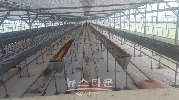 청년농업인 임대농장