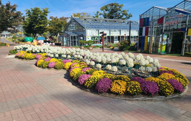 동궁원 내 꽃 화단 조성 모습