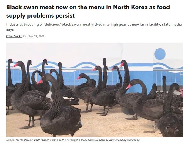 북한 당국은 25일 관영매체인 조선중앙TV를 통해 함경남도 광포오리공장에 고니사육장을 신설했다고 보도했다. NK NEWS 캡처