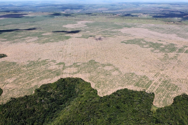 마라냥(Maranhão, 브라질 북동부의 주) 삼림 훼손 현장, 2016년도 7월 현재 상황 / 사진 : 위키피디아