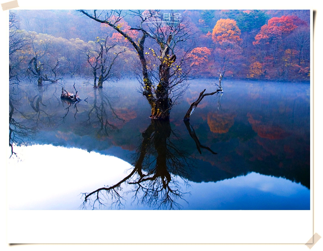 주산지