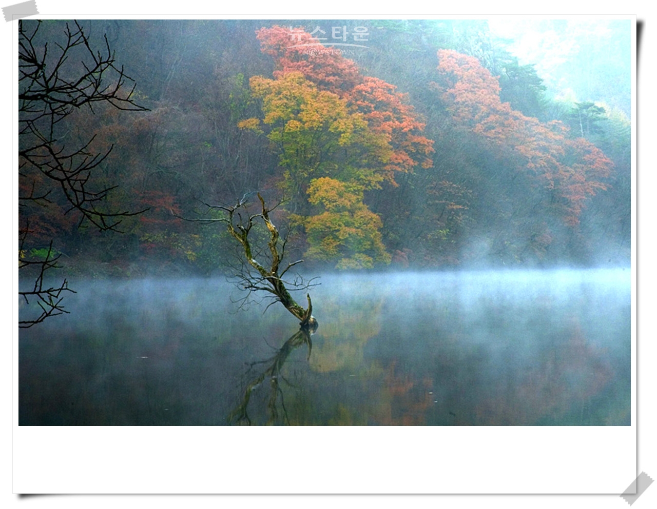 주산지