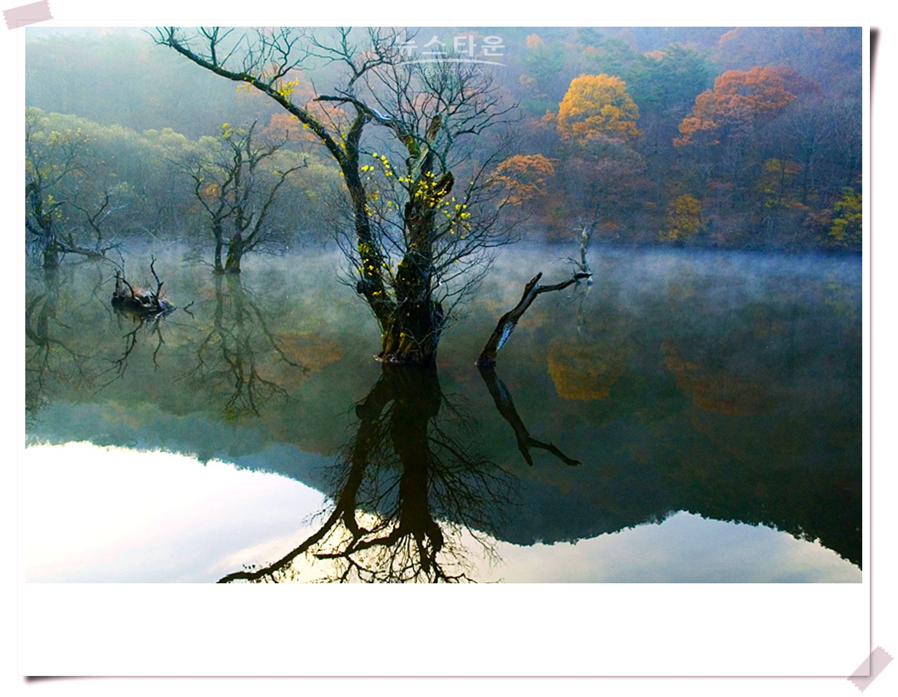주산지