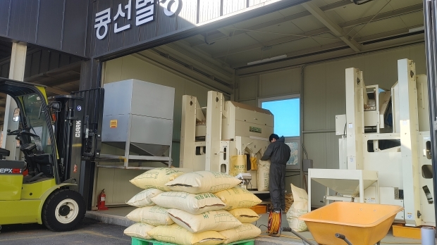 콩선별기 사진