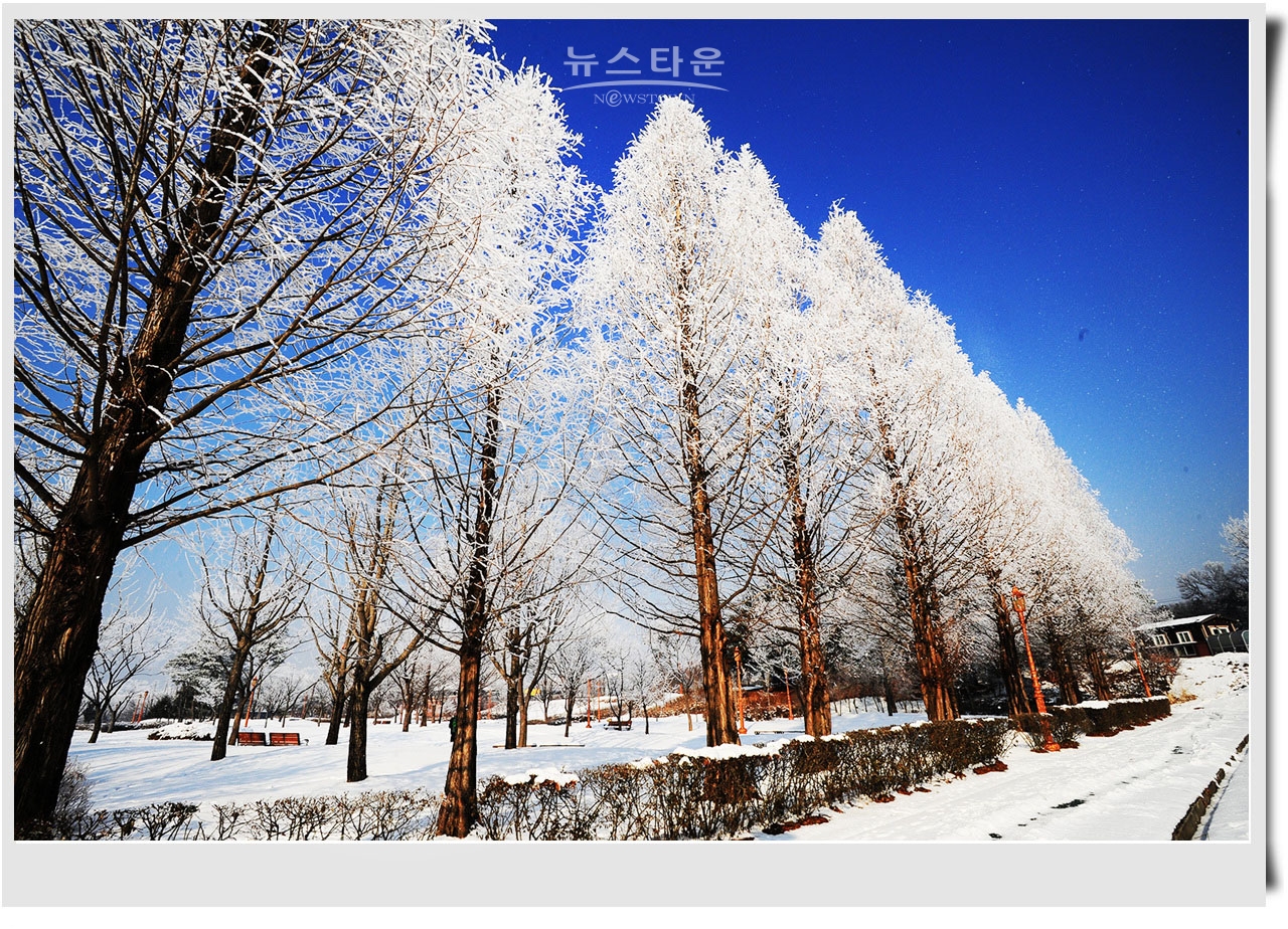 여주 신륵사와 한강의 겨울풍경