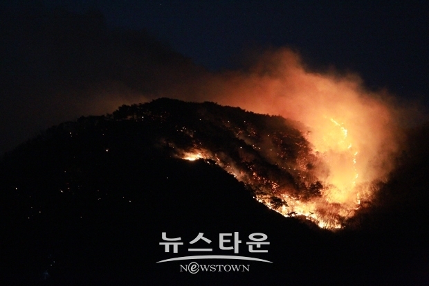 아산 설화산 산불
