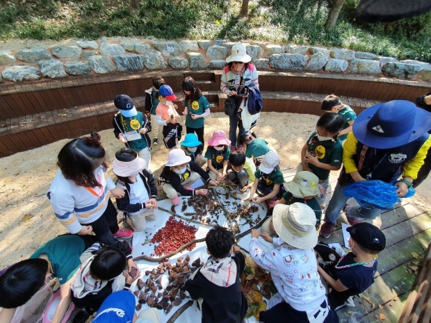 산림교육