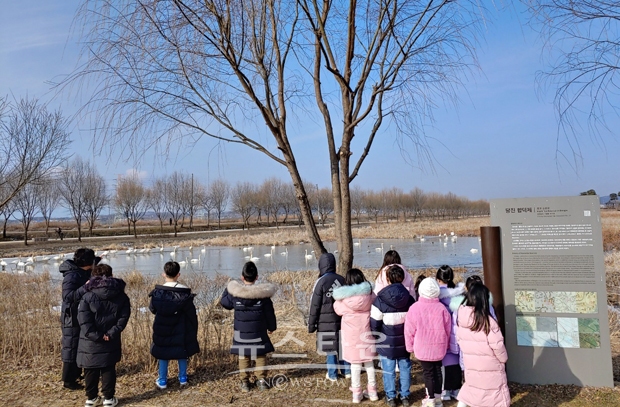 합덕제 큰고니