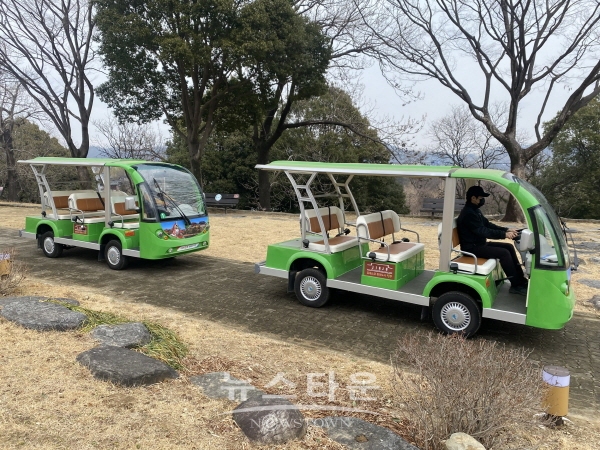 전기카트