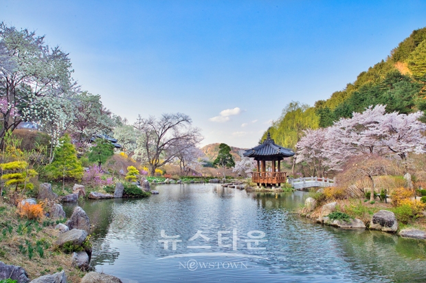 서화연