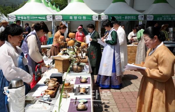 하동야생차축제