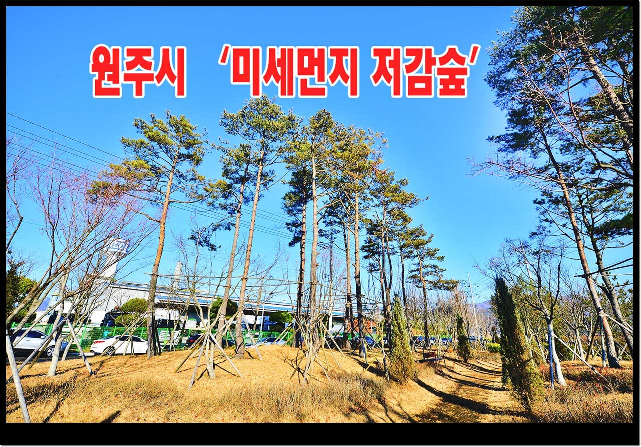 미세먼지 저감나무숲의 자료사진