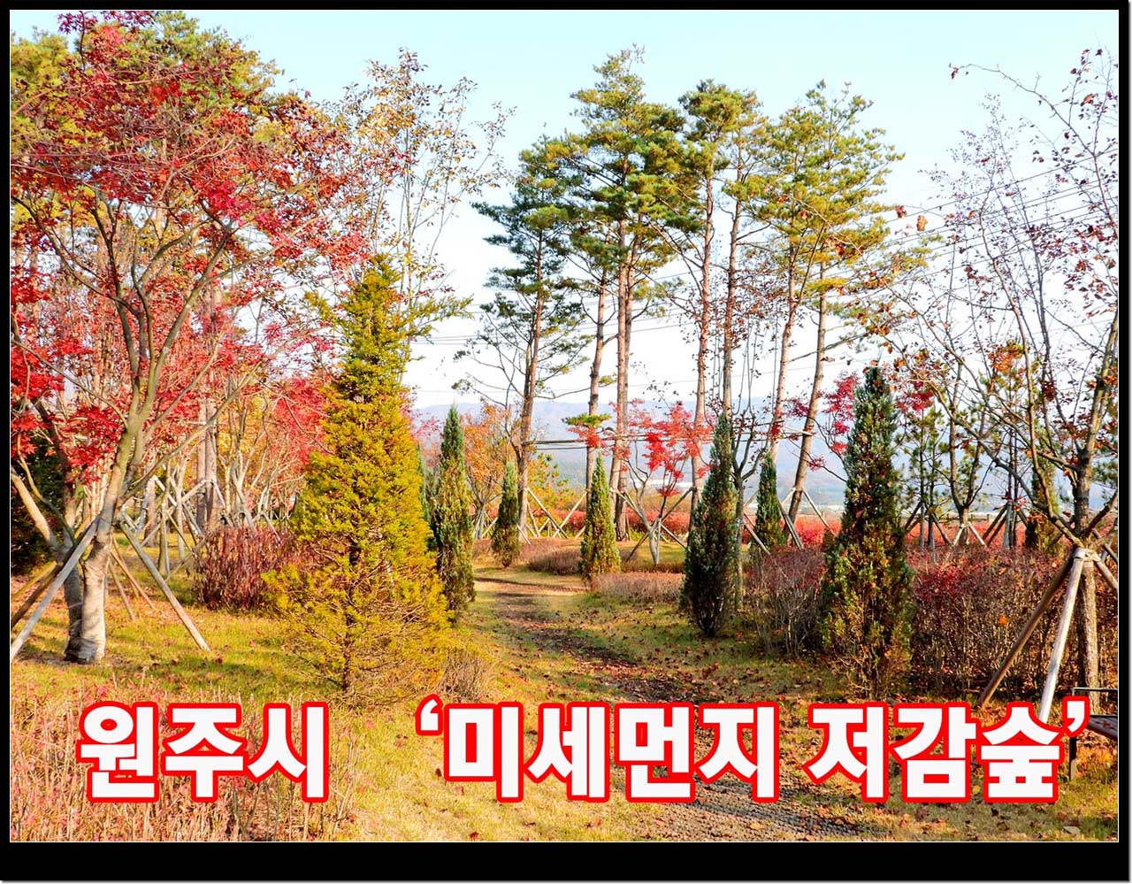 문막읍 반계리 2242번지 일원 문막 일반산업단지 미세먼지 저감숲(도시림)