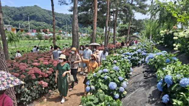 유구색동수국정원