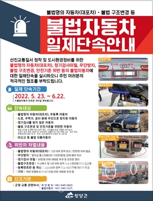 불법자동차 일제정리
