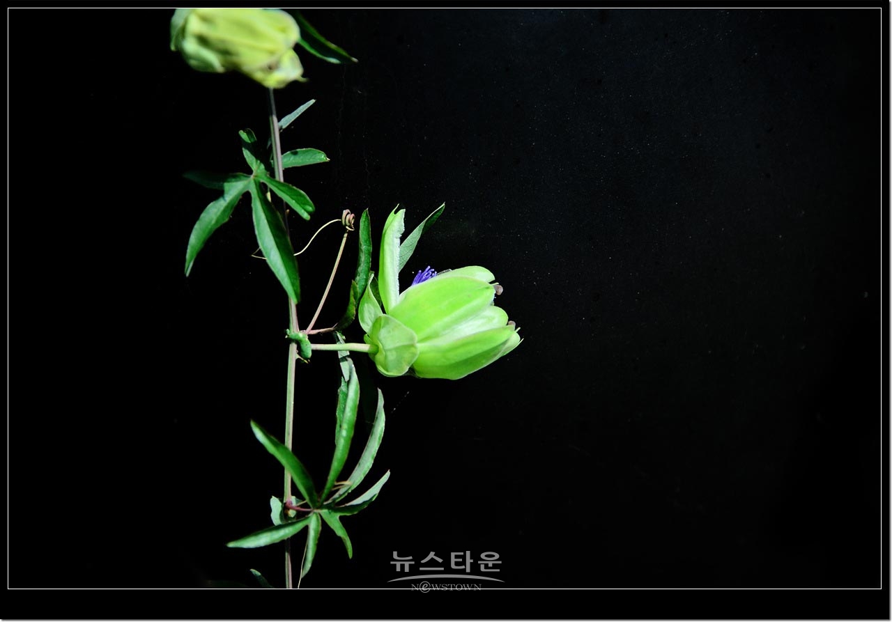 수목원의 아름다운풍경